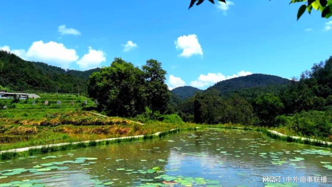 昨日图文推广模块化搭建您的网络平台:账号运营与内容推广的一站式解决方案发现了韩国人来中国的秘密