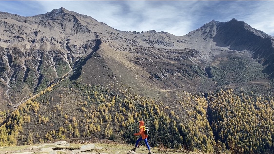稍早前视频推广定制化开发您的分销系统:一手货源网站的数据保护措施,马斯克不到100天砍掉自己1500亿身家